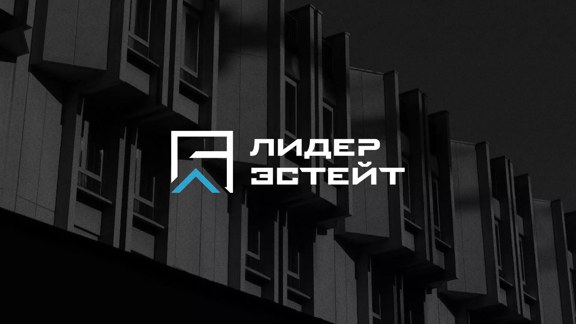 Разработка логотипа агентства недвижимости «Лидер Эстейт» в Кодинске